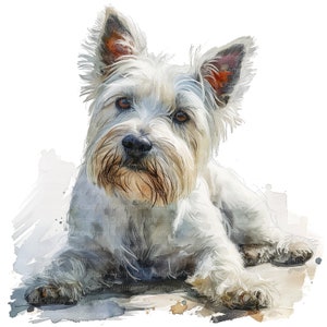 9 West Highland White Terrier clipart, afdrukbare aquarel clipart, hoge kwaliteit JPG, digitale download, Papercraft, junk journal