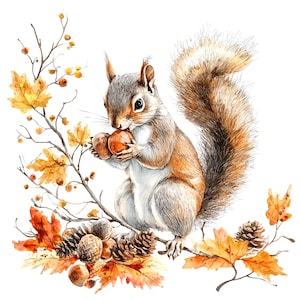 9 Clipart écureuil automne, clipart bouquet automne, clipart aquarelle imprimable, fichiers JPG de haute qualité, téléchargement numérique, créations en papier, journaux intimes