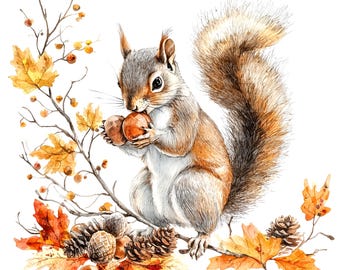 9 Autumn Squirrel Clipart, Autumn bouquet Clipart, Printable Watercolor clipart, High Quality JPGs, Digital download, Paper craft, journals