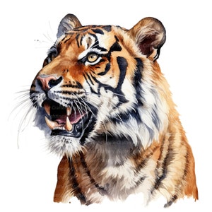 12 Tiger Profile Clipart, Watercolor Tiger, Printable Watercolor clipart, High Quality JPGs, Digital download, High resolution, Paper crafts