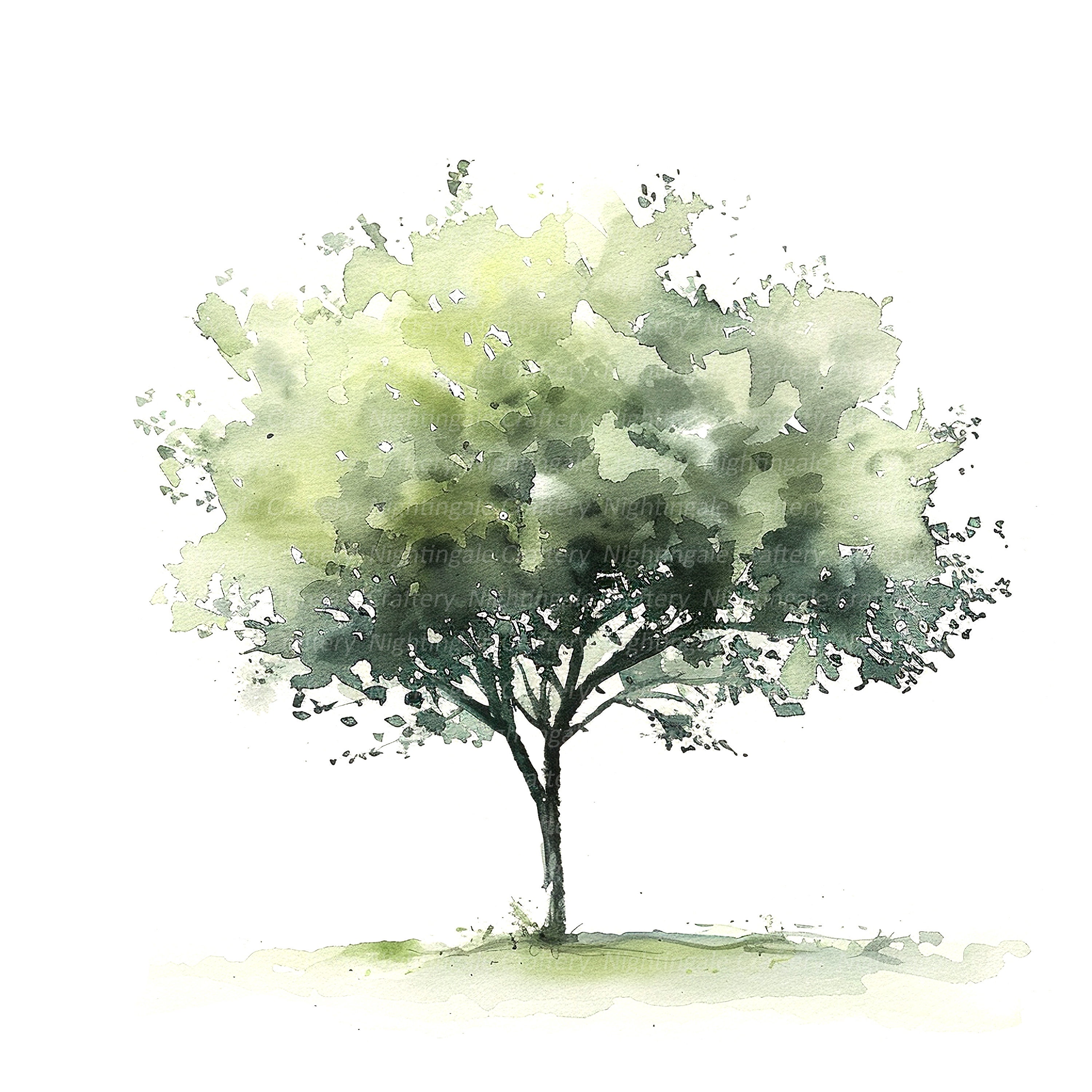 10 Minimalistic Tree Clipart, Simple Tree, Printable Watercolor Clipart ...