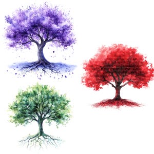 14 clipart minimalistas de árvores, diversas árvores, clipart em aquarela para impressão, JPGs de alta qualidade, download digital, artesanato em papel, diários de sucata
