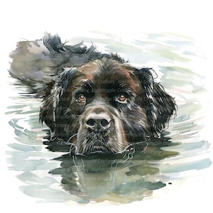 12 Newfoundland zwemmen clipart, Newfoundland hond, afdrukbare aquarel clipart, hoge kwaliteit JPG, digitale download, Papercraft, journaling