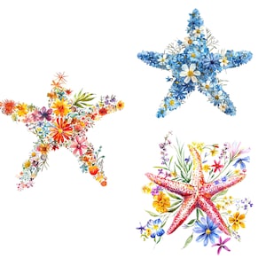 14 Kwiatowe rozgwiazdy Clipart, Kwiaty rozgwiazdy, Wydrukowalne akwarelowe cliparty, Wysokiej jakości pliki JPG, Pobieranie cyfrowe, Rękodzieło papierowe, dziennik śmieci