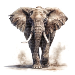 10 olifant clipart, aquarel olifant, afdrukbare aquarel clipart, hoge kwaliteit jpg's, digitale download, hoge resolutie, papierkunst