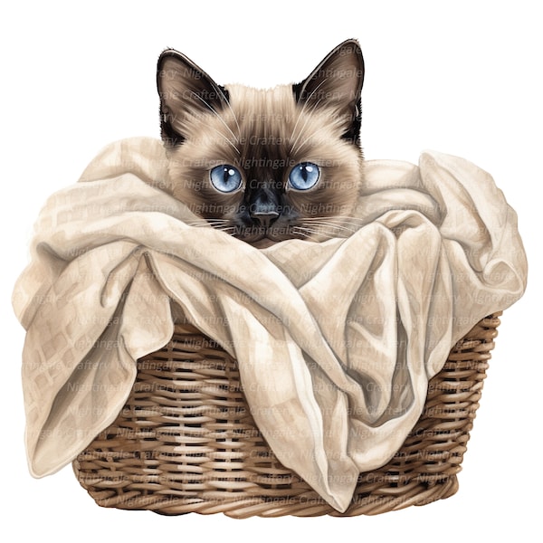 10 Siamese cat Basket Clipart, Siamese Kitten, Printable Watercolor clipart, High Quality JPG, Digital download, Paper craft, junk journals