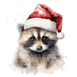 10 raton laveur dans des cliparts bonnet de Noel, raton laveur, clipart aquarelle imprimable, fichiers JPG de haute qualité, téléchargement numérique, créations en papier, journal de bordel