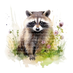 Raton laveur dans la forêt des cliparts, clipart aquarelle imprimable, 10 PNG de haute qualité, téléchargement numérique, haute résolution, travaux manuels en papier, journal indésirable