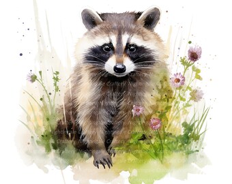 Mapache en el bosque, clipart de acuarela imprimible, 10 PNG de alta calidad, descarga digital, alta resolución, manualidades de papel, diario basura