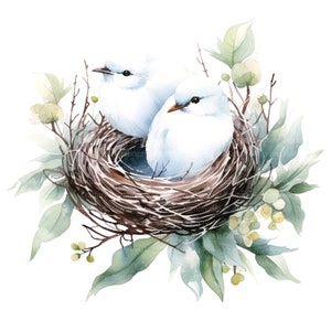 8 Floral Bird Nest Clipart, Decorative Nest, Printable Watercolor clipart, High Quality JPGs, Digital download, Paper craft, junk journals image 4