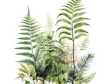 12 skogsormbunkeblad Clipart, ormbunke Clipart, utskrivbar akvarell clipart, högkvalitativa PNG-filer, digital nedladdning, pappershantverk, skräpjournaler