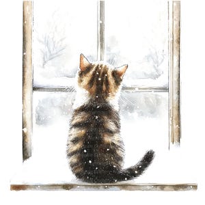 12 Clipart di gattini con finestra, Clipart invernali, Clipart acquerello stampabili, JPG/PNG di alta qualità, Download digitale, Carta artigianale, diari spazzatura