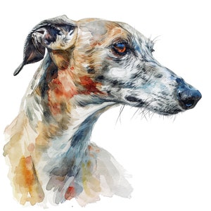 10 imágenes prediseñadas de perro galgo, galgo en acuarela, imágenes prediseñadas de acuarela imprimibles, PNG de alta calidad, descarga digital, manualidades de papel, diario