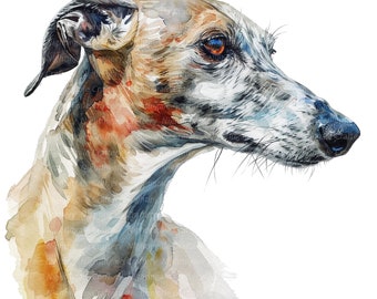 May include: Watercolor painting of a greyhound dog with brown and white markings. The dog's head is turned to the side, and its eyes are closed. The painting is done in a realistic style, with a focus on the dog's fur and features.