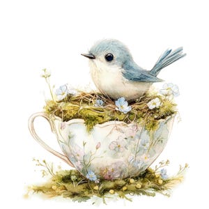 11 Clipart oiseau et tasse de thé, Clipart Tea Party, clipart aquarelle imprimable, fichiers JPG de haute qualité, téléchargement numérique, créations en papier, journal indésirable