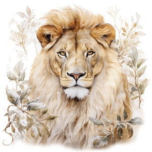 May include: A watercolor painting of a lion's face with a white background. The lion has a thick mane and a serious expression. The background features delicate, snow-covered branches.