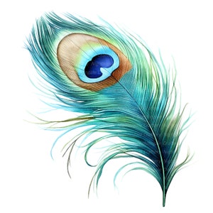 10 imágenes prediseñadas de plumas de pavo real, pavo real magnífico, imágenes prediseñadas de acuarela imprimibles, JPG de alta calidad, descarga digital, artesanía de papel, diario basura imagen 9