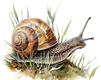 il_340x270.6136761275_7yho.jpg