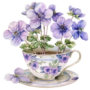 10 Hepaticas in tazza da tè Clipart, tazza da tè floreale, clipart acquerello stampabile, JPG di alta qualità, download digitale, artigianato di carta, diario spazzatura