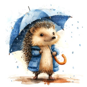 8 imágenes prediseñadas de erizo bajo la lluvia, erizo y paraguas, imágenes prediseñadas de acuarela imprimibles, PNG de alta calidad, descarga digital, manualidades de papel, diario basura