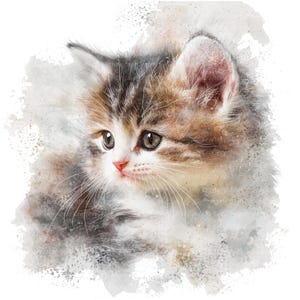 12 cliparts chaton duveteux, art mural chaton, clipart aquarelle imprimable, JPG/PNG de haute qualité, téléchargement numérique, créations en papier, journal indésirable