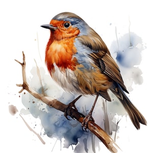 10 clipart hiperrealista de Robin de Natal, clipart em aquarela para impressão, JPGs de alta qualidade, download digital, artesanato em papel, diários indesejados