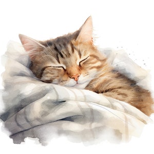16 schlafende Katze Clipart, gemütliche Katze Clipart, druckbare Aquarell Clipart, hochwertige JPG / PNGs, digitaler Download, Papiermodell, Junk Journals
