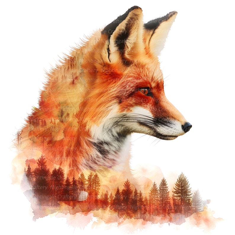 Pu&ograve; includere: Un'illustrazione ad acquerello di una volpe rossa con uno sfondo di foresta. La volpe guarda a destra e la scena della foresta &egrave; un'immagine sfocata di alberi e foglie.