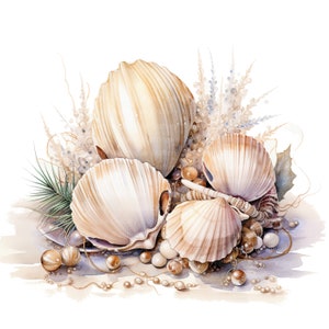 Puede incluir: Un grupo de conchas marinas de diferentes formas y tama&ntilde;os, incluyendo conchas de vieira, sobre un fondo blanco. Las conchas est&aacute;n dispuestas de forma decorativa, algunas se superponen y otras est&aacute;n de pie. Las conchas son de color beige claro, algunas tienen un ligero tono rosado o marr&oacute;n. Tambi&eacute;n hay peque&ntilde;as cuentas blancas esparcidas alrededor de las conchas.