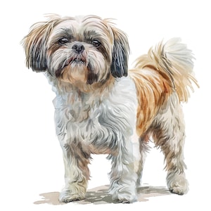 10 Shih Tzu Dog Clipart, Printable Watercolor clipart, High Quality JPG, Digital download, Paper craft, junk journal, Shih Tzu dog print