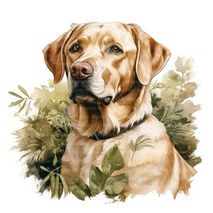 Może przedstawiać: Akwarela przedstawiająca psa rasy golden retriever z brązowymi oczami, patrzącego w lewo. Pies otoczony jest zielonymi liśćmi.