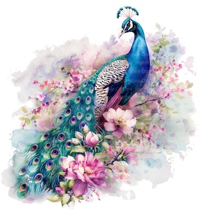 13 schattige Peacock clipart set 5, afdrukbare aquarel clipart, hoge kwaliteit JPG/PNG's, digitale download, Paper Craft, ongewenste tijdschriften