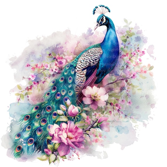13 Adorable Peacock Clipart Set 5, Printable Watercolor Clipart