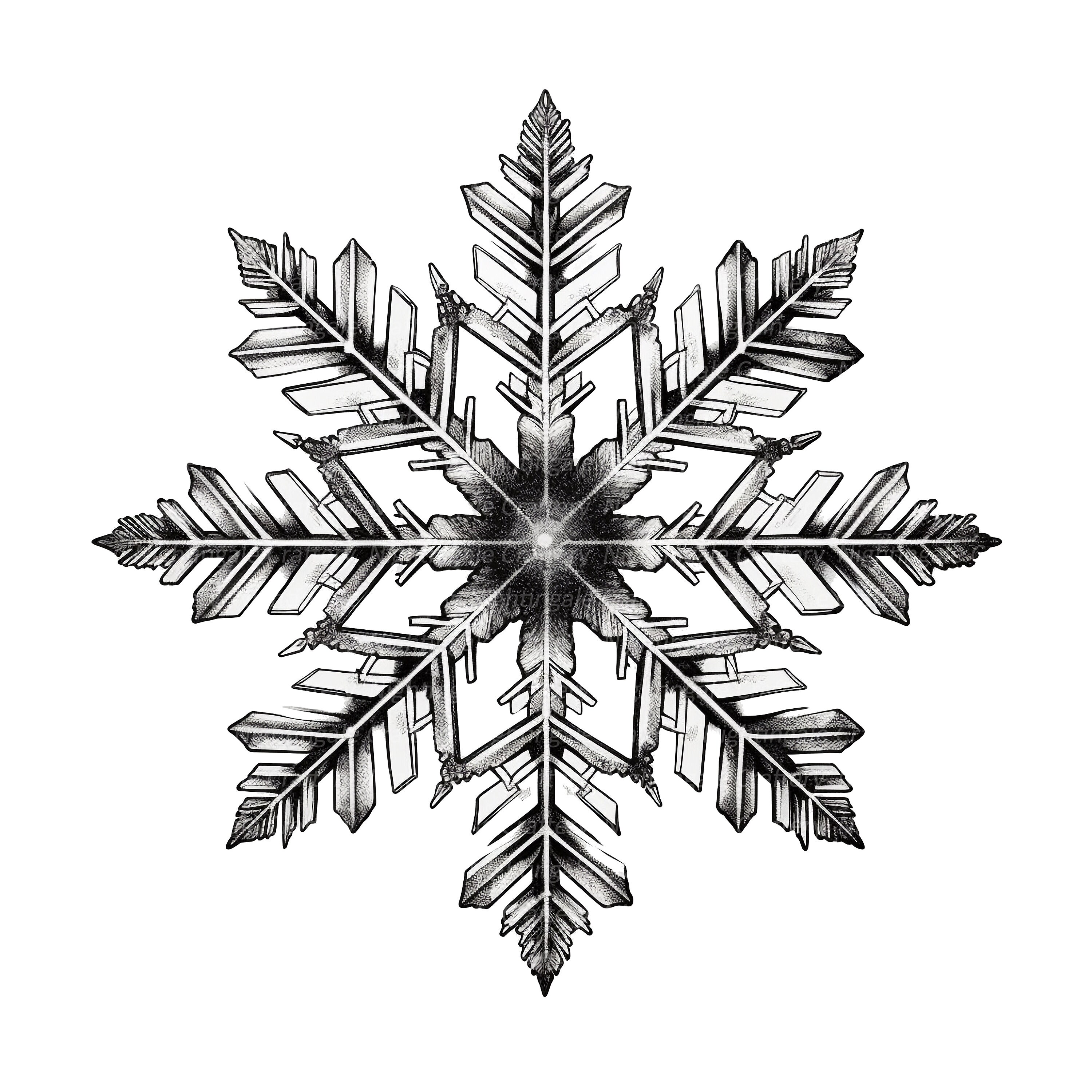 14 Black White Snowflakes Clipart, Christmas Print, Printable Watercolor  Clipart, Digital Download, Paper Craft, Junk Journals - Etsy, image size:3000x3000