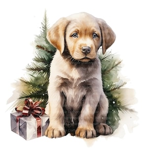 12 imágenes prediseñadas de Labrador de Navidad, imágenes de Labrador Retriever, imágenes prediseñadas de acuarela imprimibles, JPG de alta calidad, descarga digital, artesanía en papel