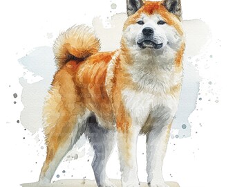 11 秋田犬のクリップアート、水彩の秋田犬、印刷可能な水彩クリップ