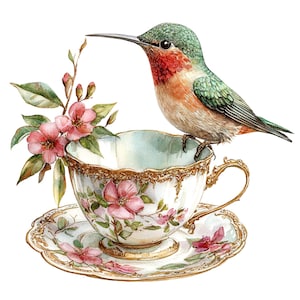 10 cliparts Tea Party, tasse de thé Colibri Clipart, clipart aquarelle imprimable, JPG de haute qualité, téléchargement numérique, créations en papier, journal indésirable