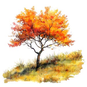 12 Imágenes prediseñadas de árbol de otoño, imágenes prediseñadas de otoño, imágenes prediseñadas de acuarela imprimibles, JPG de alta calidad, descarga digital, artesanía de papel, diarios basura