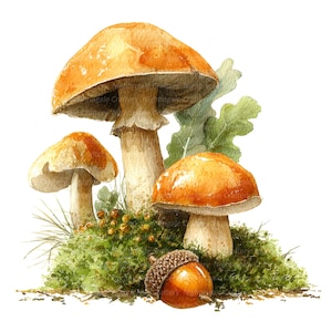12 Herbst Pilze Clipart, Wald Clipart, druckbare Aquarell Clipart, hohe Qualität JPGs, digitaler Download, Papier Handwerk, Junk-Journal