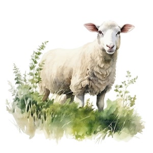 May include: A watercolor painting of a white sheep standing in a field of green grass. The sheep has a fluffy white coat and a pink nose. The grass is a variety of shades of green.