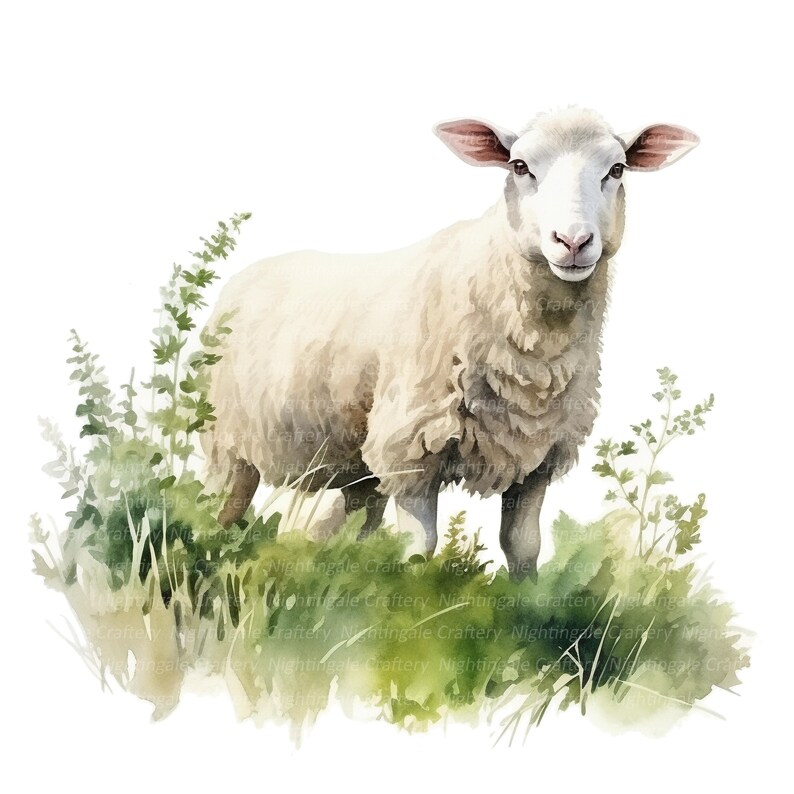 May include: A watercolor painting of a white sheep standing in a field of green grass. The sheep has a fluffy white coat and a pink nose. The grass is a variety of shades of green.