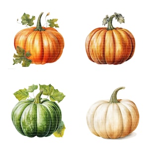 20 clipart de abóbora, várias abóboras, clipart aquarela para impressão, 20 PNGs de alta qualidade, download digital, artesanato em papel, diários indesejados