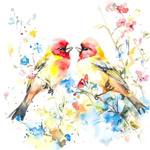 9 cliparts oiseaux floraux, impression de couple d'oiseaux, clipart aquarelle imprimable, fichiers JPG de haute qualité, téléchargement numérique, créations en papier, journaux indésirables
