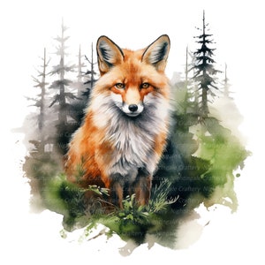Zorro en el bosque, clipart de acuarela imprimible, 10 PNG/JPG de alta calidad, descarga digital, alta resolución, manualidades de papel, diario basura