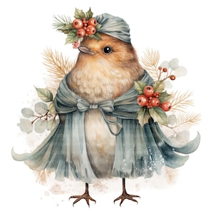 8 Clipart de Noël Robin, drôle de Robin, clipart aquarelle imprimable, JPG de haute qualité, téléchargement numérique, créations en papier, journal indésirable