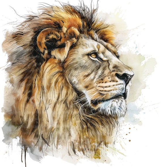 11 Lion Clipart, Watercolor Lion Painting, Printable Watercolor clipart, High Quality PNGs, Digital download, High resolution, Paper crafts