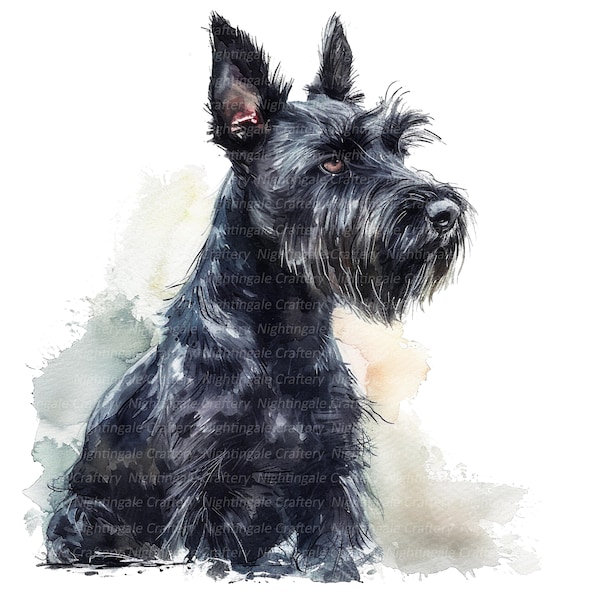 11 Scottish Terrier Dog Clipart, Printable Watercolor clipart, High Quality JPG, Digital download, Paper craft, junk journal, Terrier print