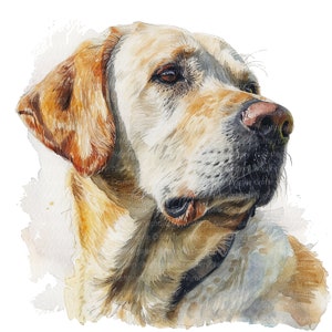 10 Labrador Clipart, Watercolor Labrador, Printable Watercolor clipart, High Quality PNGs, Digital download, Paper craft, sublimation, print