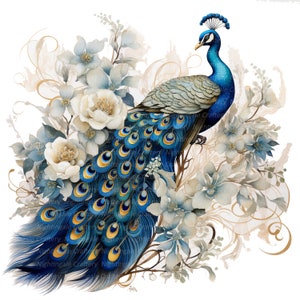 12 entzückende Pfau Clipart Set 2, druckbare Aquarell Clipart, hochwertige JPGs, digitaler Download, Papiermodell, Junk Journals