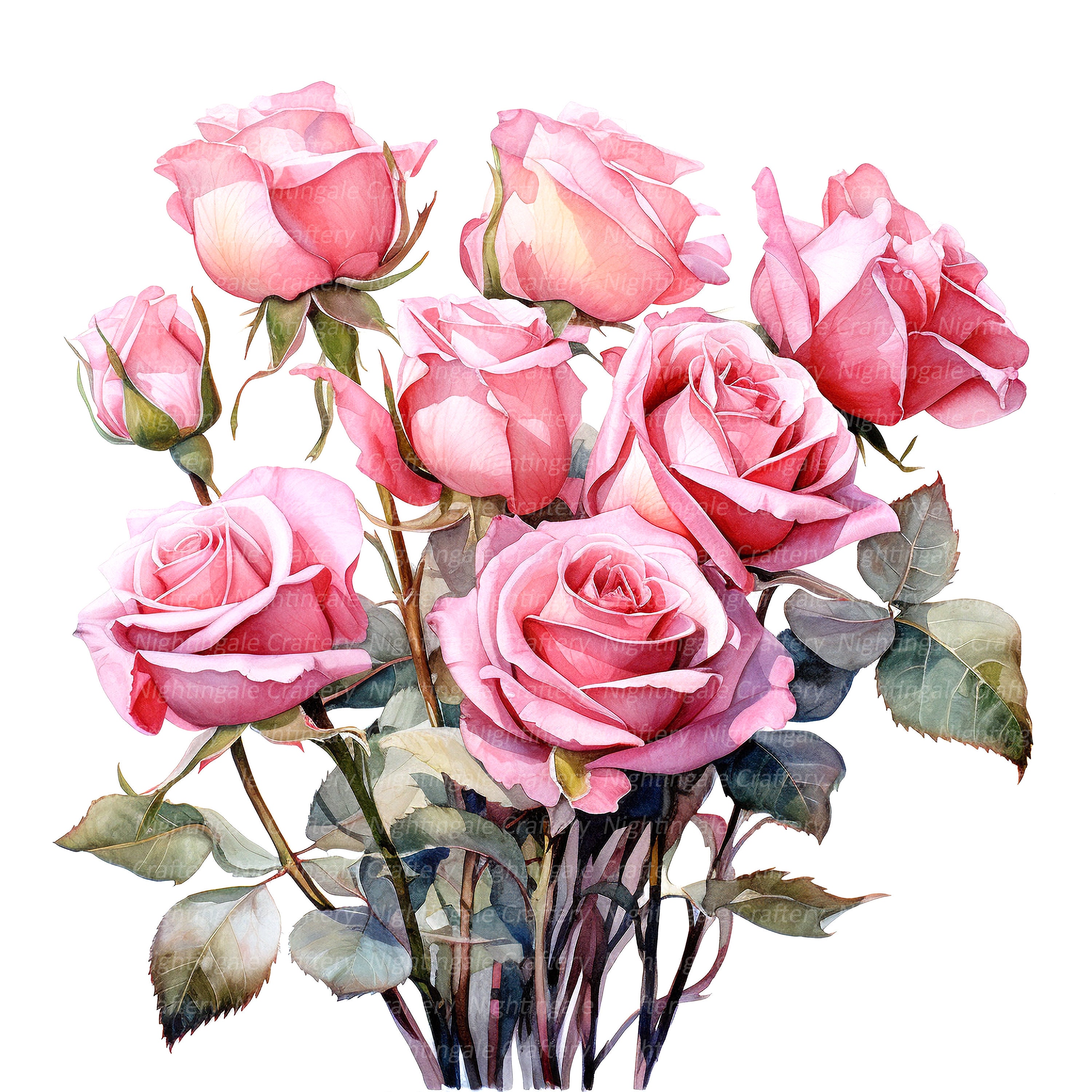10 Pink Roses Long Stems Clipart, Roses Bouquet, Printable Watercolor ...